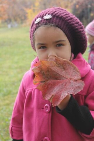 img_1815