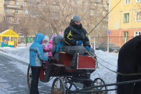 img_8440